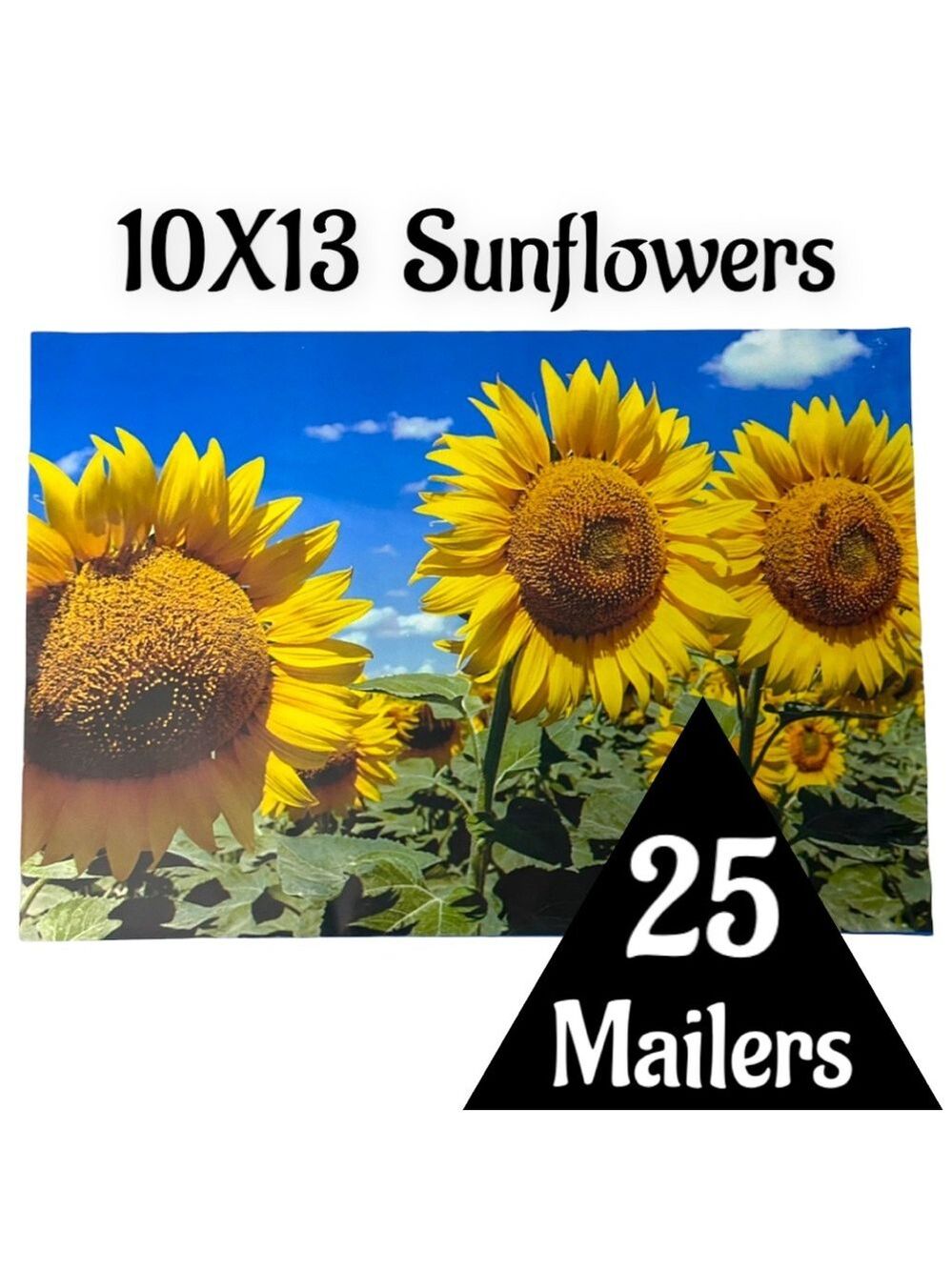 25 10X13 Poly Mailers Sunflower, Shipping Envelopes PRICE IS FIRM Fall - Picture 6 of 12